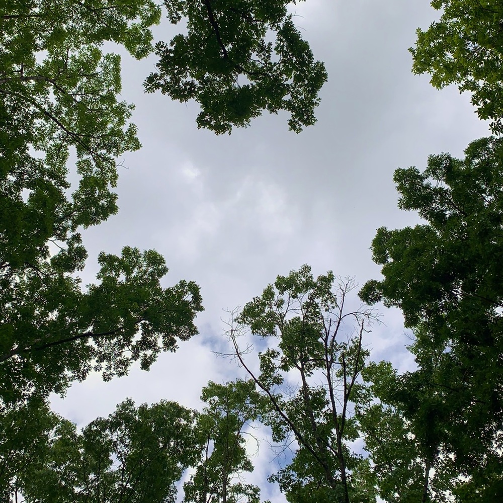 Closet Is Temp Closed